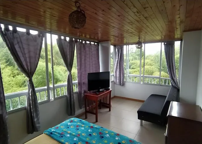 Apartamento Acogedor, 1 Habitacion, Cocina, Comedor, Vista A Zonas Verdes, English